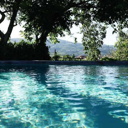 Quinta De Villa Franca - Douro 比索达雷加 外观 照片