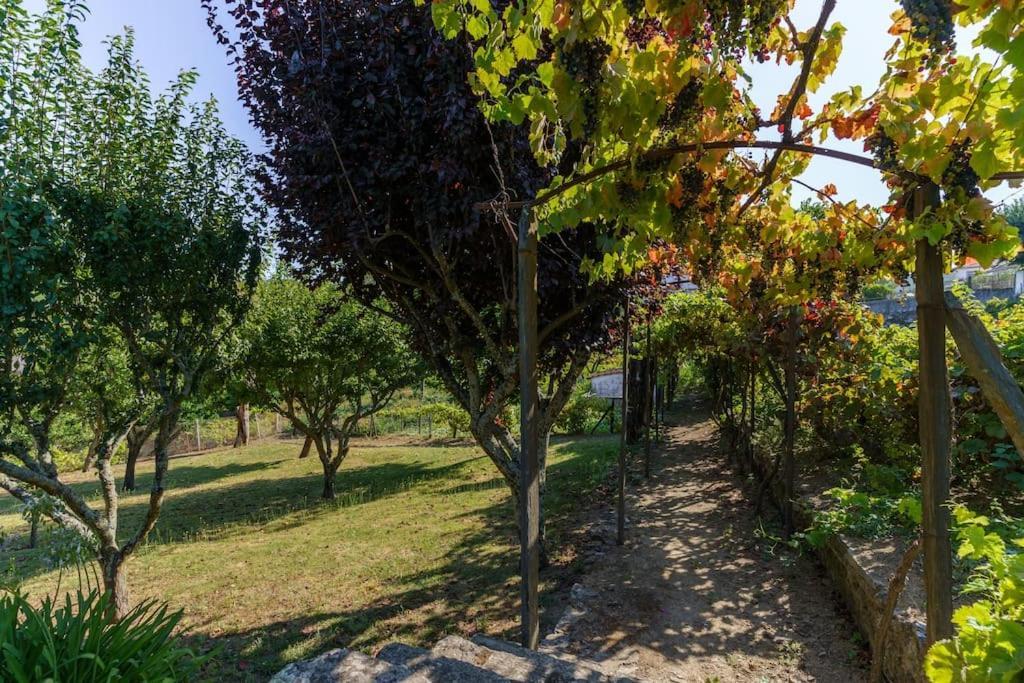 Quinta De Villa Franca - Douro 比索达雷加 外观 照片